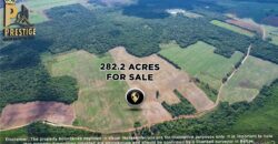 Immense 282 Acres Farmland for Sale near Little Belize , Progresso, Corozal District