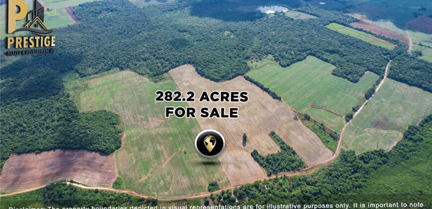 Immense 282 Acres Farmland for Sale near Little Belize , Progresso, Corozal District