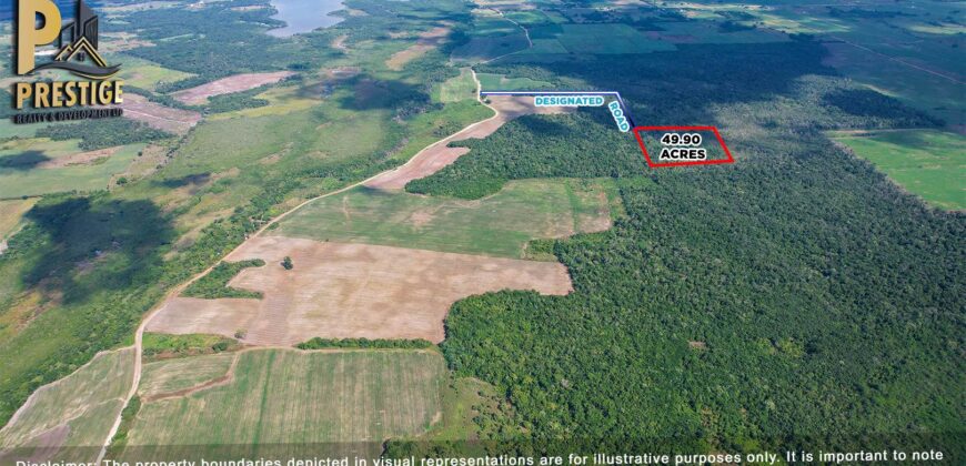 49.90 Lush & Fertile Jungle Property near Little Belize, Corozal, Progresso, Corozal District