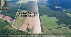 Immense 282 Acres Farmland for Sale near Little Belize , Progresso, Corozal District