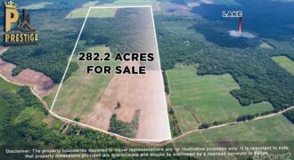 Immense 282 Acres Farmland for Sale near Little Belize , Progresso, Corozal District