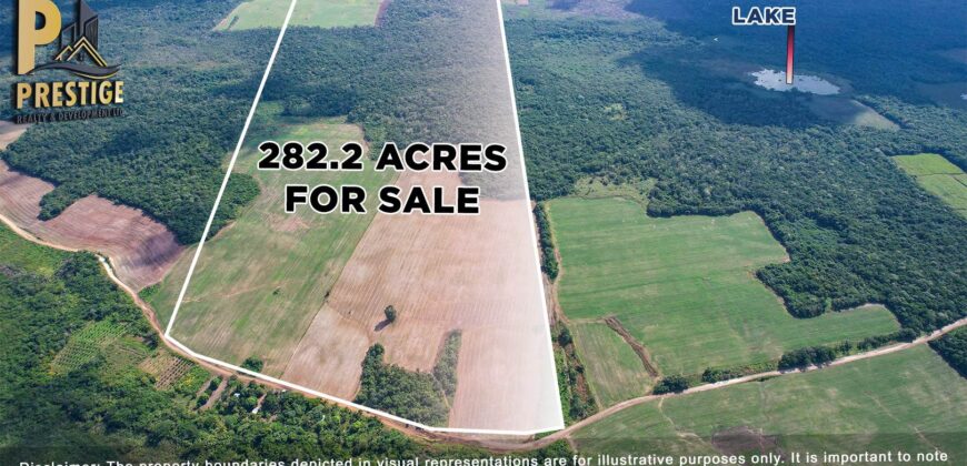 Immense 282 Acres Farmland for Sale near Little Belize , Progresso, Corozal District