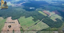 Immense 282 Acres Farmland for Sale near Little Belize , Progresso, Corozal District