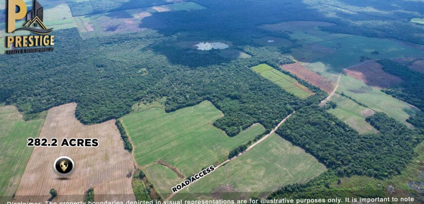 Immense 282 Acres Farmland for Sale near Little Belize , Progresso, Corozal District