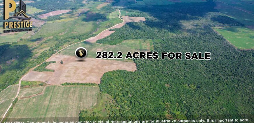 Immense 282 Acres Farmland for Sale near Little Belize , Progresso, Corozal District