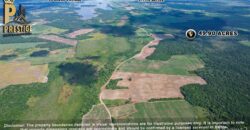 49.90 Lush & Fertile Jungle Property near Little Belize, Corozal, Progresso, Corozal District