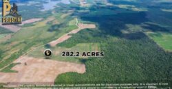 Immense 282 Acres Farmland for Sale near Little Belize , Progresso, Corozal District