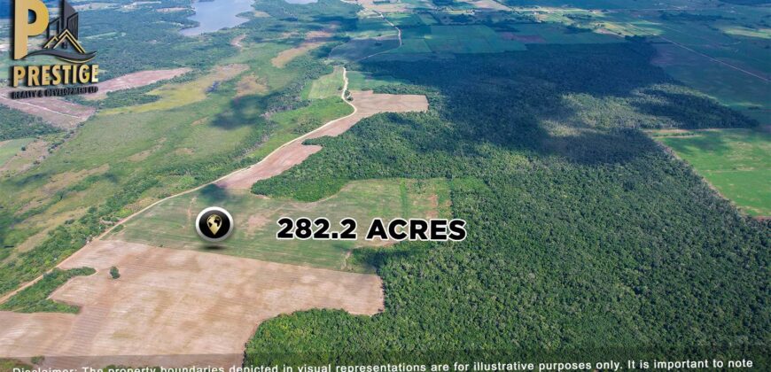 Immense 282 Acres Farmland for Sale near Little Belize , Progresso, Corozal District