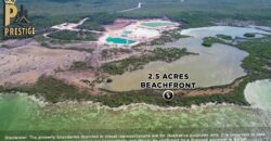 Prime 2.5 acres Beachfront Property: Ideal Investment Opportunity in San Pedro Town, Belize, Ambergris Caye, Belize