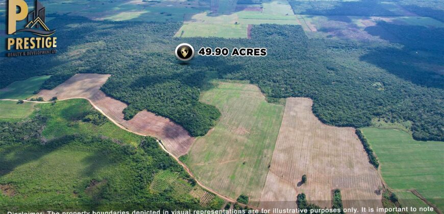 49.90 Lush & Fertile Jungle Property near Little Belize, Corozal, Progresso, Corozal District