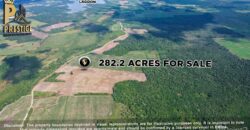 Immense 282 Acres Farmland for Sale near Little Belize , Progresso, Corozal District