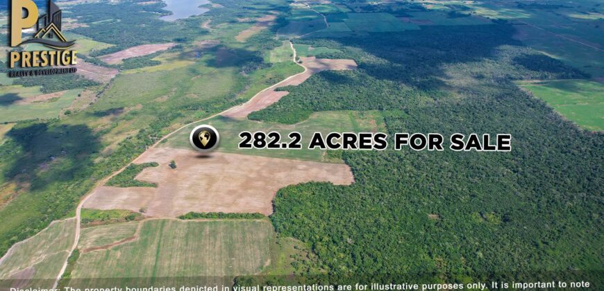 Immense 282 Acres Farmland for Sale near Little Belize , Progresso, Corozal District