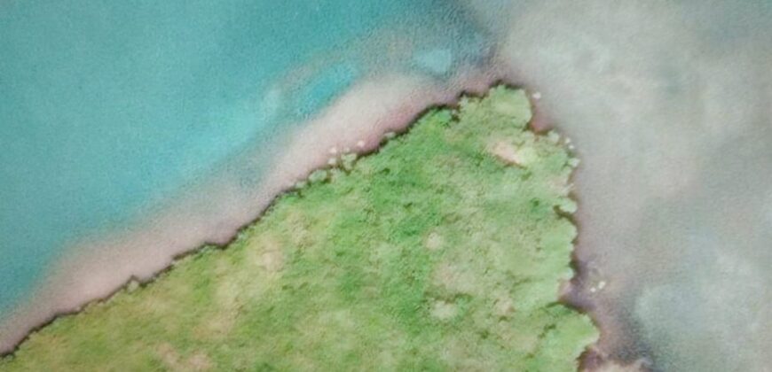 2.6 Acre Private Island, Shag Caye