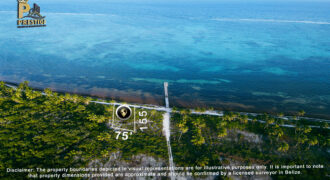 Beachfront Property North Ambergris Caye (Punta Azul)