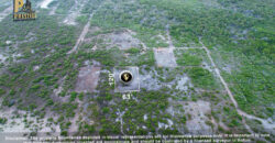 Vacant Lot- Colonia San Diego, North Ambergris Caye