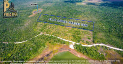 25.01 Acres Property Near Honey Camp Lagoon, Orange Walk, Belize