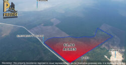 62.98 Acres Jungle Property With Electricity Access at Carmelita, Orange Walk, Old Northern High Way