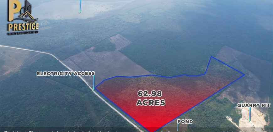 62.98 Acres Jungle Property With Electricity Access at Carmelita, Orange Walk, Old Northern High Way