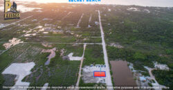 Parcel 7501 Secret Beach Main Roadside Lots, North Ambergris Caye