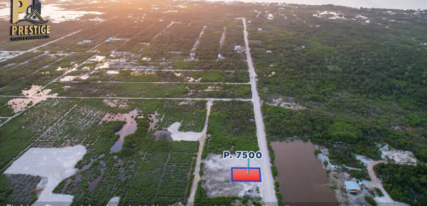 Parcel 7501 Secret Beach Main Roadside Lots, North Ambergris Caye