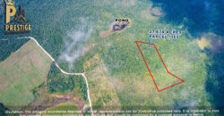 27.678 Acres Property Near Honey Camp Lagoon, Orange Walk, Belize