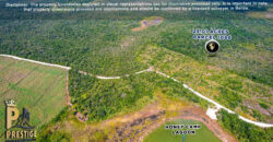 25.01 Acres Property Near Honey Camp Lagoon, Orange Walk, Belize