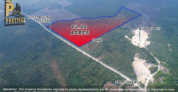 62.98 Acres Jungle Property With Electricity Access at Carmelita, Orange Walk, Old Northern High Way