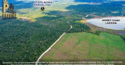 27.678 Acres Property Near Honey Camp Lagoon, Orange Walk, Belize