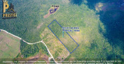 25.01 Acres Property Near Honey Camp Lagoon, Orange Walk, Belize