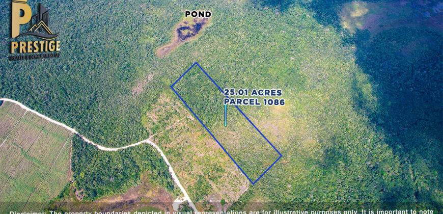 25.01 Acres Property Near Honey Camp Lagoon, Orange Walk, Belize