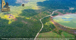 27.678 Acres Property Near Honey Camp Lagoon, Orange Walk, Belize