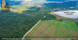 25.01 Acres Property Near Honey Camp Lagoon, Orange Walk, Belize