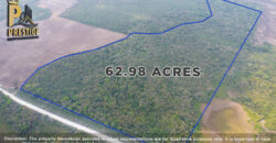 62.98 Acres Jungle Property With Electricity Access at Carmelita, Orange Walk, Old Northern High Way