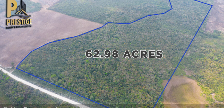 62.98 Acres Jungle Property With Electricity Access at Carmelita, Orange Walk, Old Northern High Way