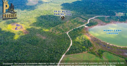 25.01 Acres Property Near Honey Camp Lagoon, Orange Walk, Belize