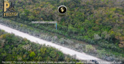 62.98 Acres Jungle Property With Electricity Access at Carmelita, Orange Walk, Old Northern High Way