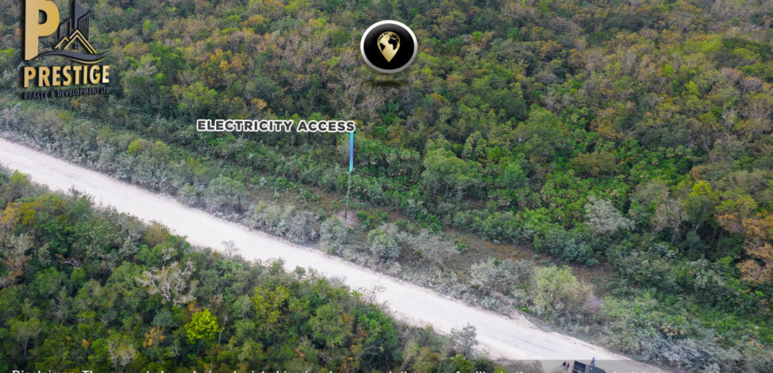 62.98 Acres Jungle Property With Electricity Access at Carmelita, Orange Walk, Old Northern High Way