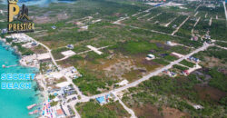 Parcel 7501 Secret Beach Main Roadside Lots, North Ambergris Caye