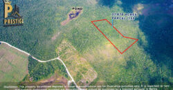 27.678 Acres Property Near Honey Camp Lagoon, Orange Walk, Belize