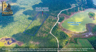 25.01 Acres Property Near Honey Camp Lagoon, Orange Walk, Belize