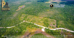 27.678 Acres Property Near Honey Camp Lagoon, Orange Walk, Belize