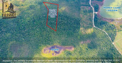 27.678 Acres Property Near Honey Camp Lagoon, Orange Walk, Belize