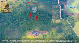 27.678 Acres Property Near Honey Camp Lagoon, Orange Walk, Belize