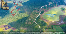 27.678 Acres Property Near Honey Camp Lagoon, Orange Walk, Belize