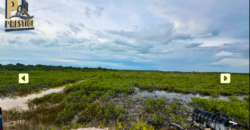 Two-bedroom Off-Grid Home Near Secret Beach, North Ambergris Caye, Belize