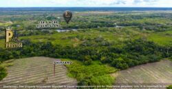 Prime 134.5-Acre Riverfront Island Development Opportunity, Orange Walk, Belize